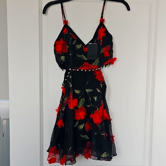 NBD Dresses & Skirts - NBD Roses Are Red Skater Mini Dress
